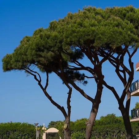 Dunas Aparthotel Chiclana de la Frontera